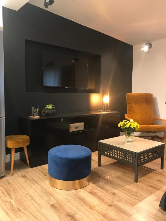 Apartament Ko-Piernika W Toruniu, W Sercu Torunskiej Starowki Екстер'єр фото